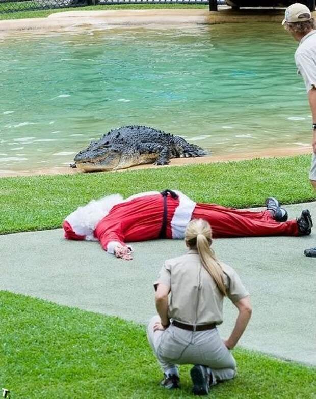 Подборка смешных картинок, с нелепыми ситуациями, фото 4 Подборка смешных картинок, с нелепыми ситуациями, фото 4