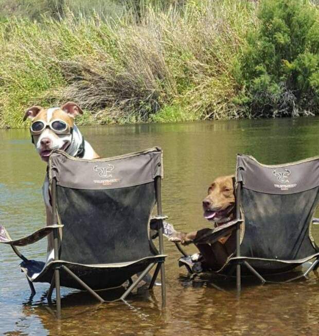 Подборка смешных картинок, с нелепыми ситуациями, фото 20 Подборка смешных картинок, с нелепыми ситуациями, фото 20