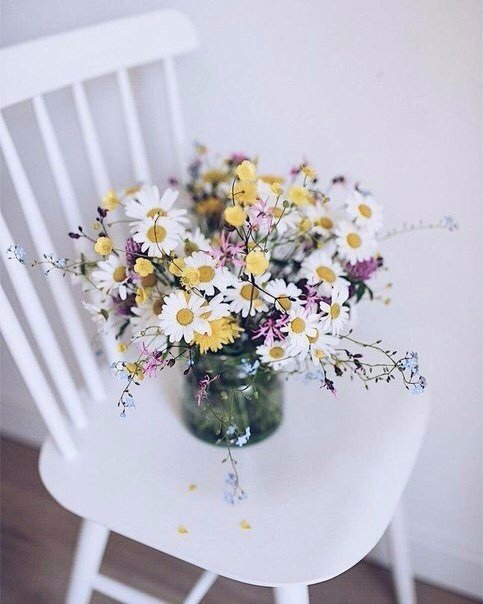 Обои с ромашками , фото 3