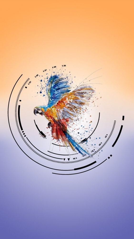 Обои с животными. Мир птиц: попугаи 🦜 , фото 10 Обои с животными. Мир птиц: попугаи 🦜 , фото 10