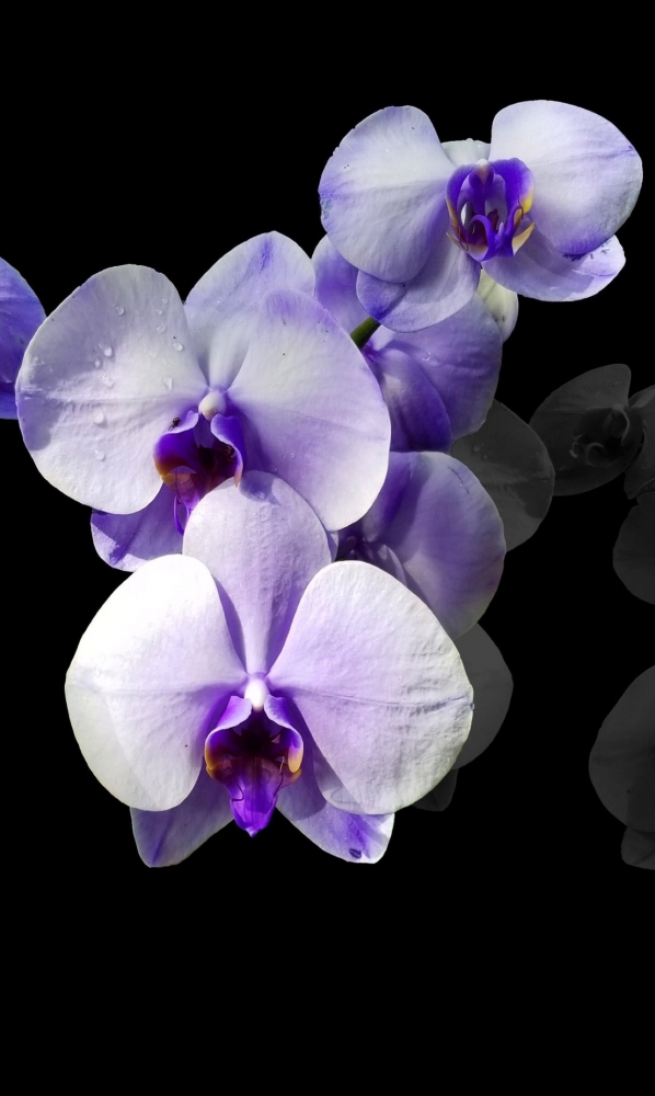 Подборка обоев для iphona 7plus. 2 часть., фото 2 Подборка обоев для iphona 7plus. 2 часть., фото 2