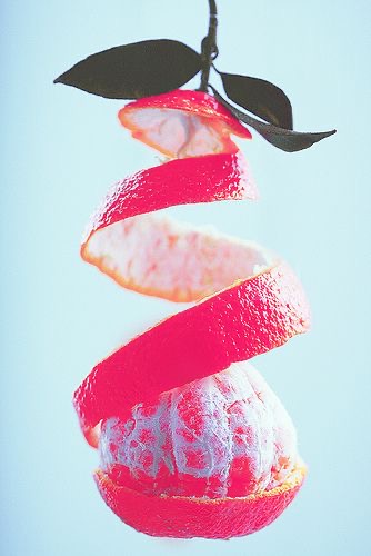 Обои с ягодами и фруктами , фото 15 Обои с ягодами и фруктами , фото 15