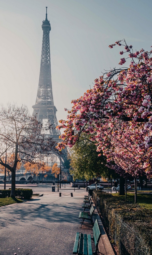 Подборка обоев для iphona 7plus. 10часть( последняя)., фото 68 Подборка обоев для iphona 7plus. 10часть( последняя)., фото 68