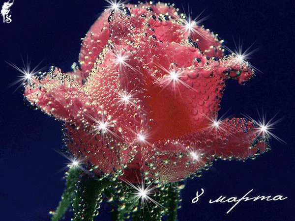 Мерцающие открытки, мерцающие букеты!, фото 1