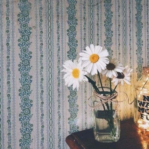 Обои с ромашками , фото 4
