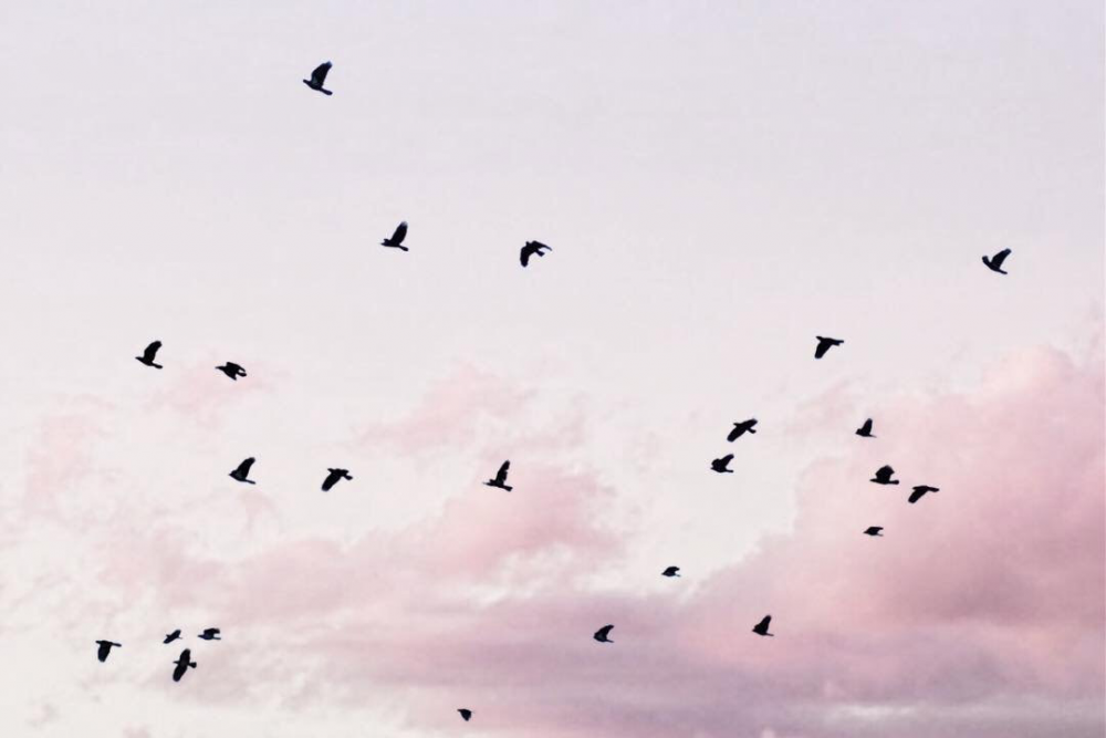 Обои с небом и облаками, фото 2 Обои с небом и облаками, фото 2