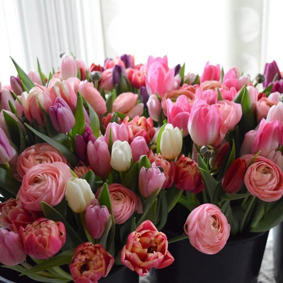 Весенние обои, фото 48 Весенние обои, фото 48