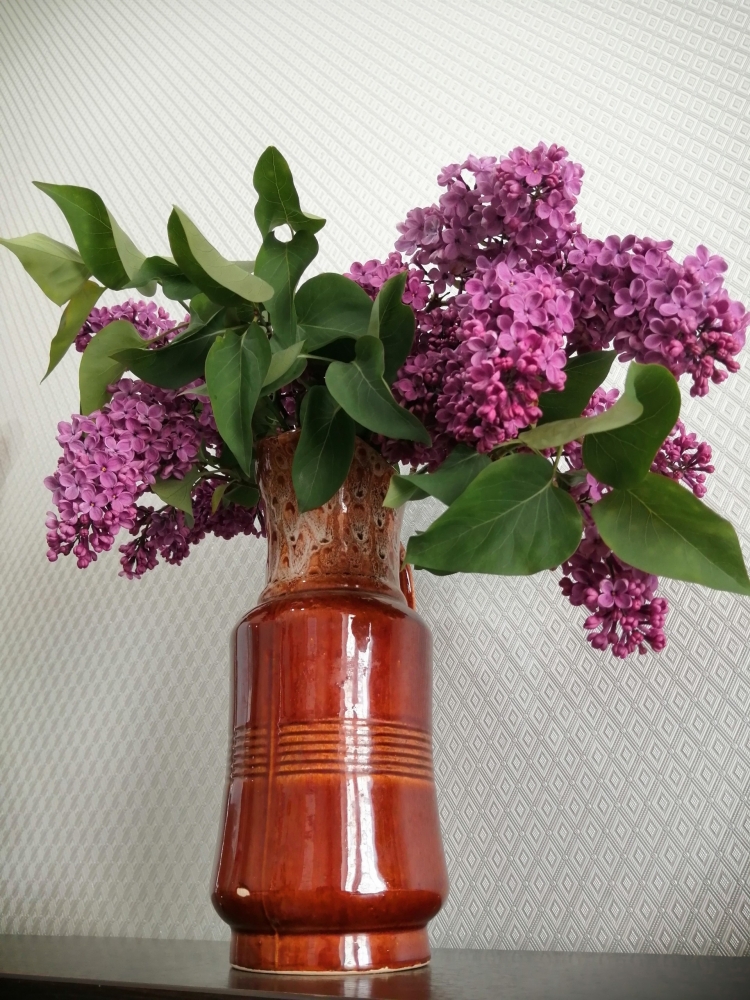 Обои с сиренью , фото 20