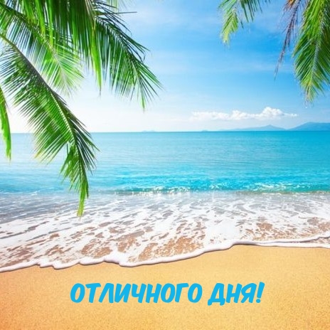 Пожелать хорошего дня проще простого!, фото 9 Пожелать хорошего дня проще простого!, фото 9