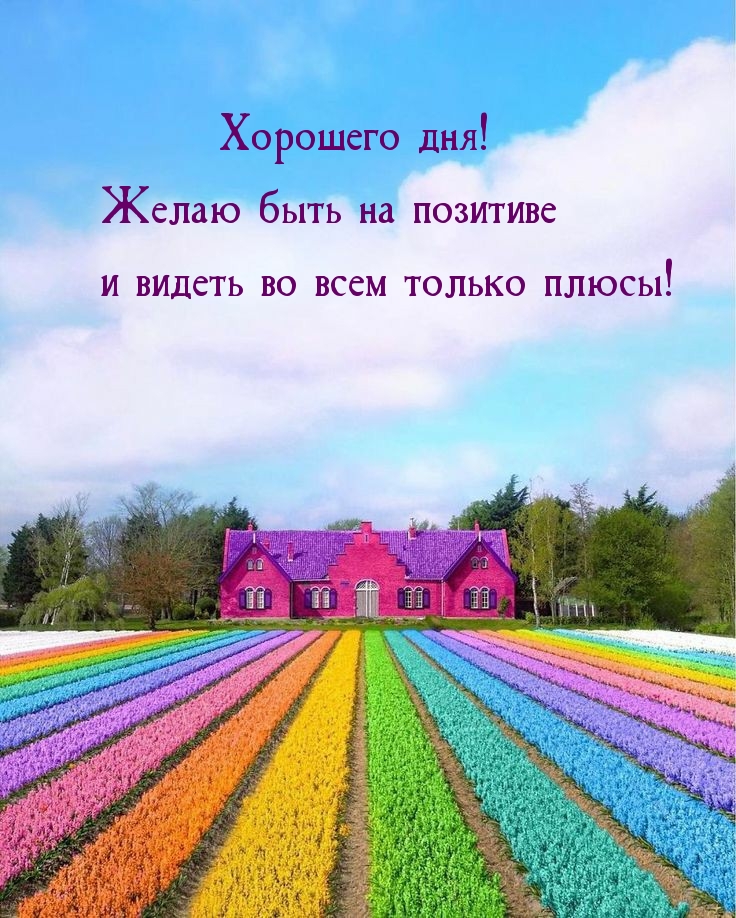 Пожелать хорошего дня проще простого!, фото 13 Пожелать хорошего дня проще простого!, фото 13