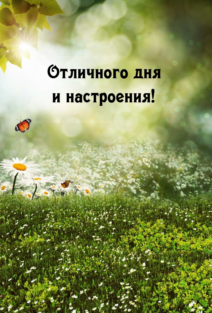 Пожелать хорошего дня проще простого!, фото 15 Пожелать хорошего дня проще простого!, фото 15