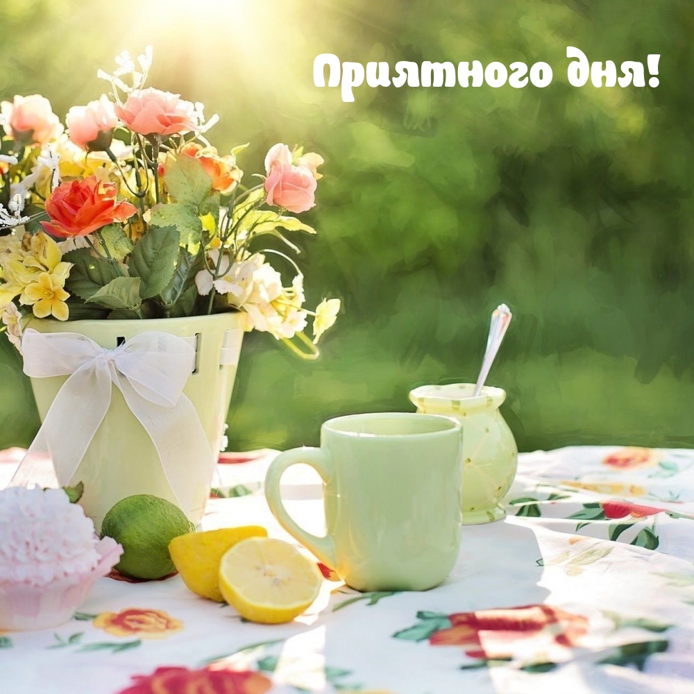 Пожелать хорошего дня проще простого!, фото 17 Пожелать хорошего дня проще простого!, фото 17