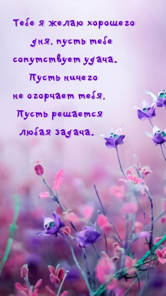 Пожелать хорошего дня проще простого!, фото 18 Пожелать хорошего дня проще простого!, фото 18
