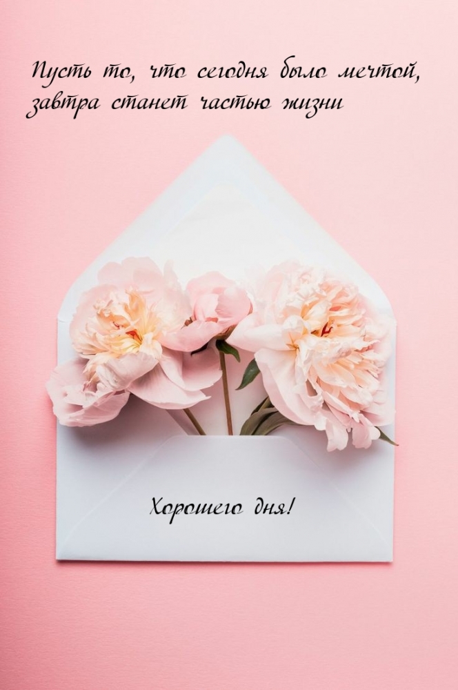 Пожелать хорошего дня проще простого!, фото 2 Пожелать хорошего дня проще простого!, фото 2