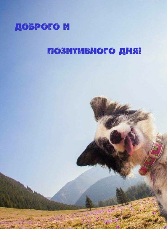 Пожелать хорошего дня проще простого!, фото 20 Пожелать хорошего дня проще простого!, фото 20