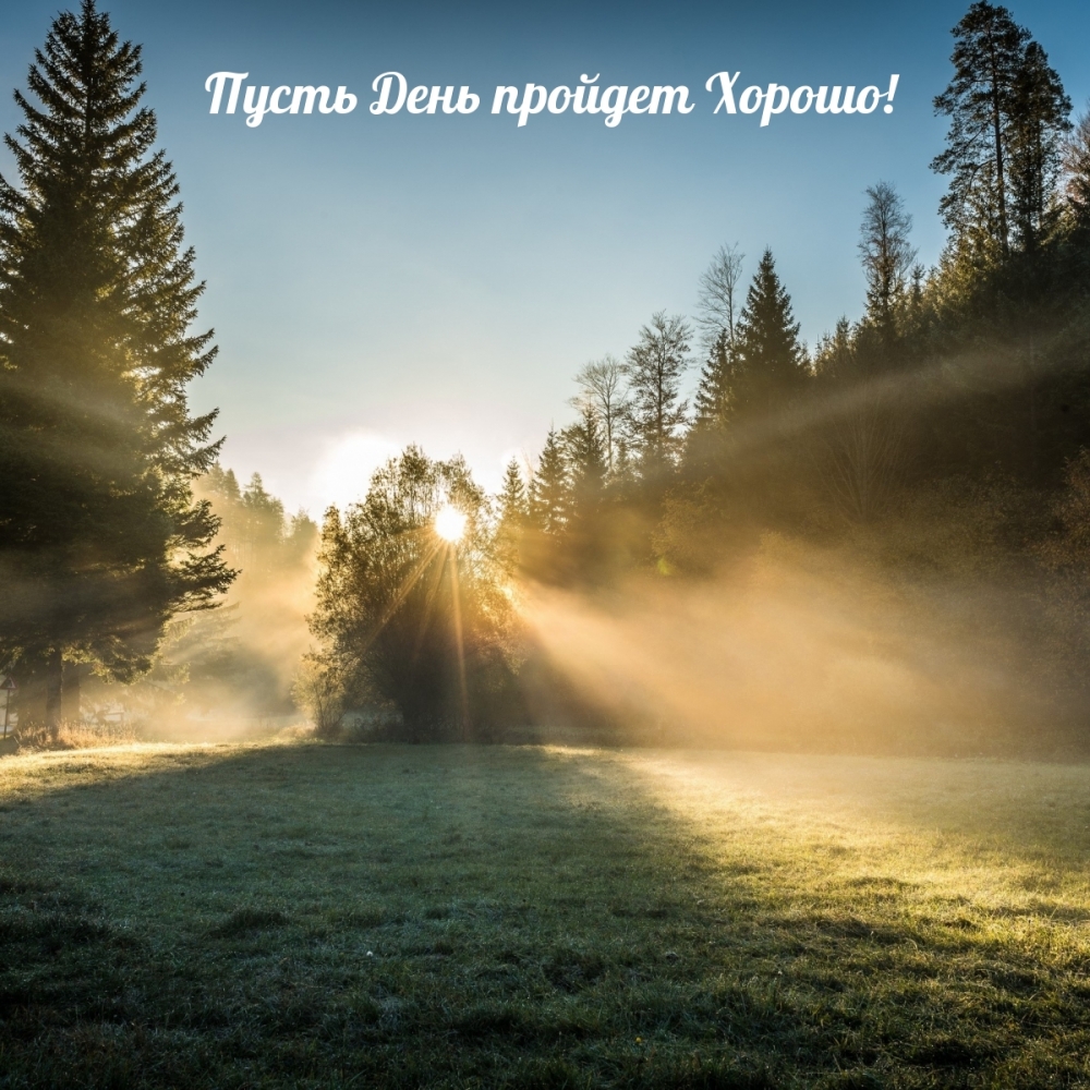 Пожелать хорошего дня проще простого!, фото 24 Пожелать хорошего дня проще простого!, фото 24