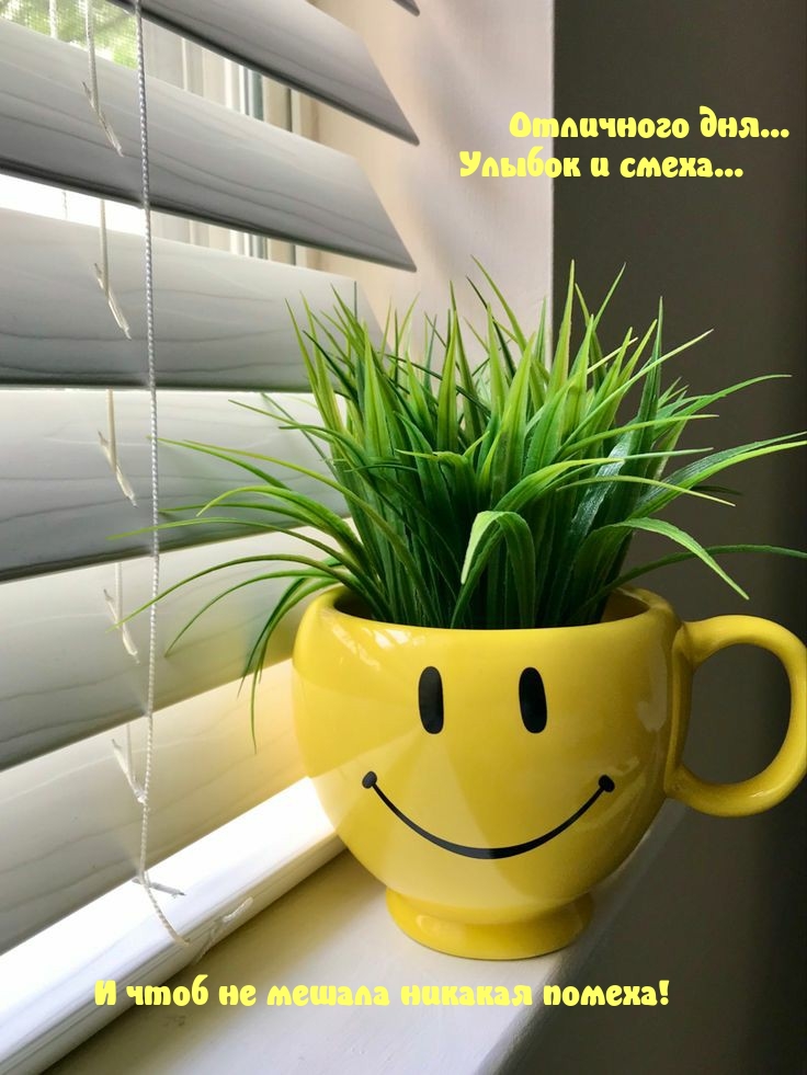 Пожелать хорошего дня проще простого!, фото 25 Пожелать хорошего дня проще простого!, фото 25