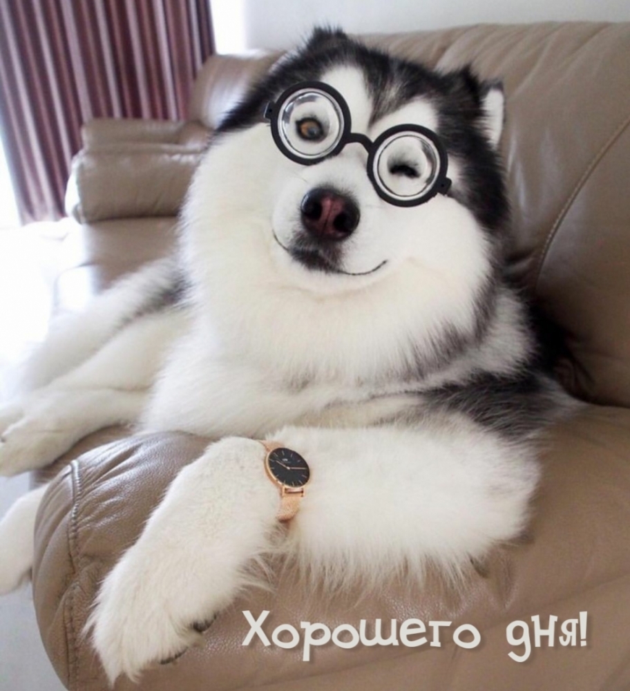 Пожелать хорошего дня проще простого!, фото 26 Пожелать хорошего дня проще простого!, фото 26