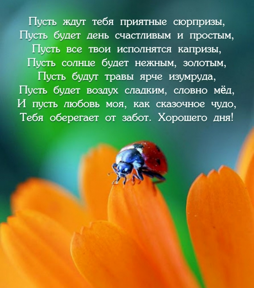 Пожелать хорошего дня проще простого!, фото 27 Пожелать хорошего дня проще простого!, фото 27