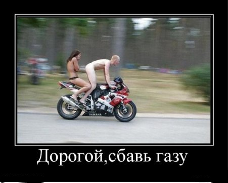 Неожиданный поворот - Позитив в картинках и не только., фото 2 Неожиданный поворот - Позитив в картинках и не только., фото 2