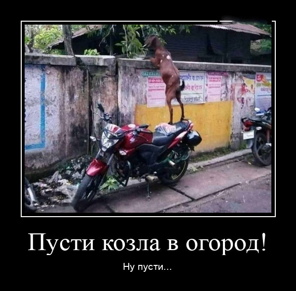 Неожиданный поворот - Позитив в картинках и не только., фото 33 Неожиданный поворот - Позитив в картинках и не только., фото 33