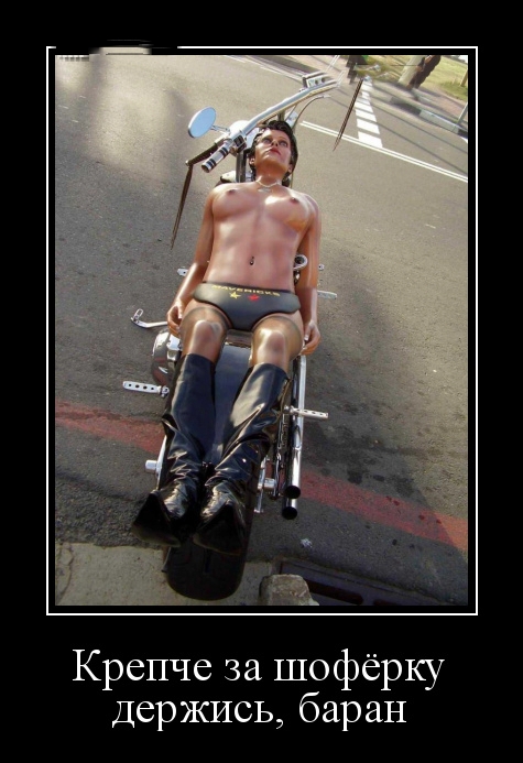 Неожиданный поворот - Позитив в картинках и не только., фото 34 Неожиданный поворот - Позитив в картинках и не только., фото 34