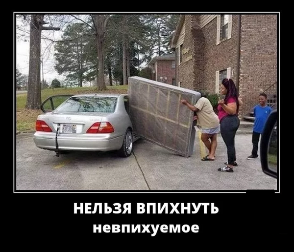 Неожиданный поворот - Позитив в картинках и не только., фото 8 Неожиданный поворот - Позитив в картинках и не только., фото 8