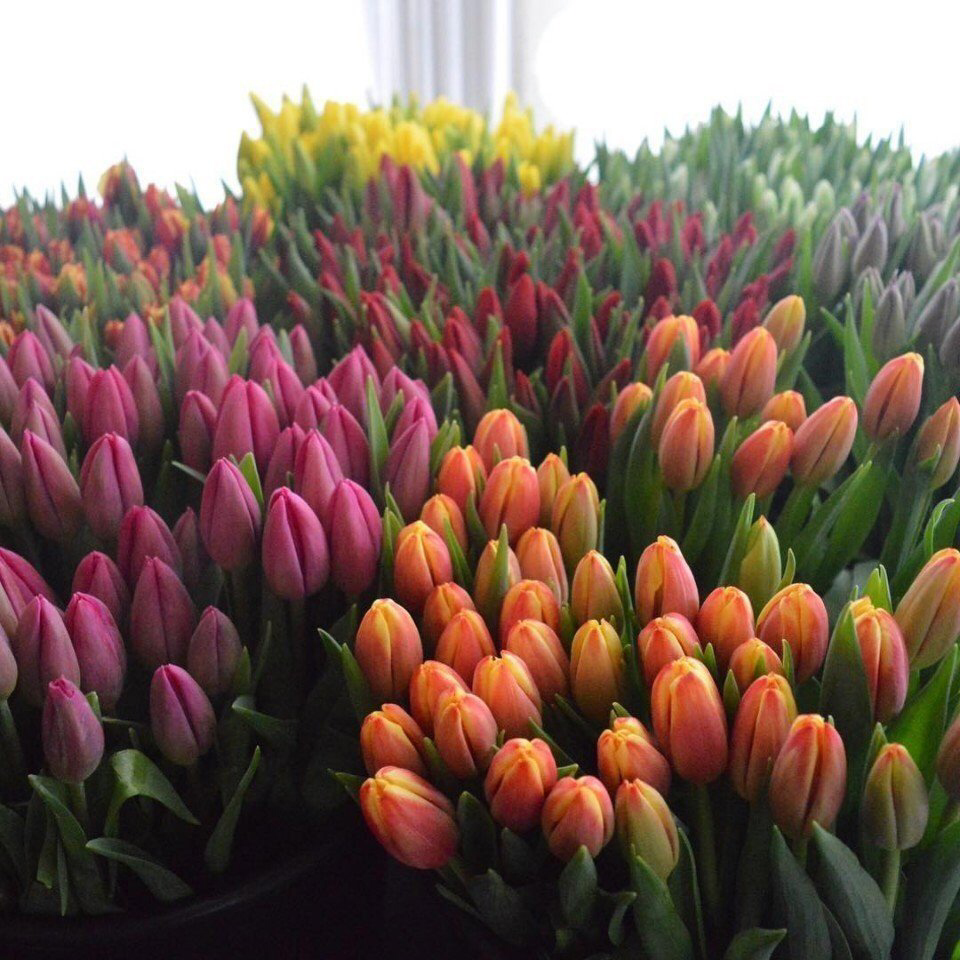 Весенние обои, фото 46 Весенние обои, фото 46