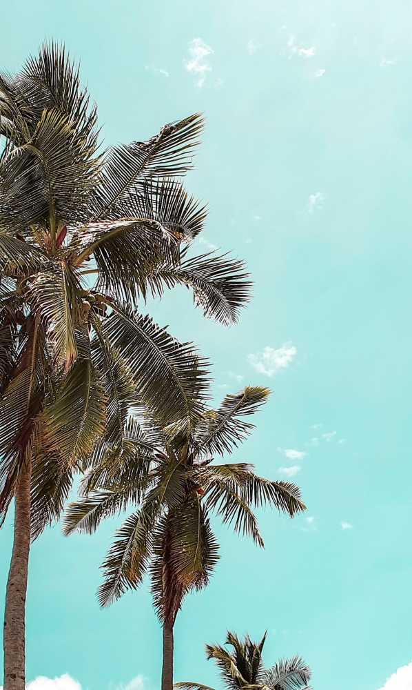 Подборка обоев для iphona 7plus. Часть 7, фото 3 Подборка обоев для iphona 7plus. Часть 7, фото 3