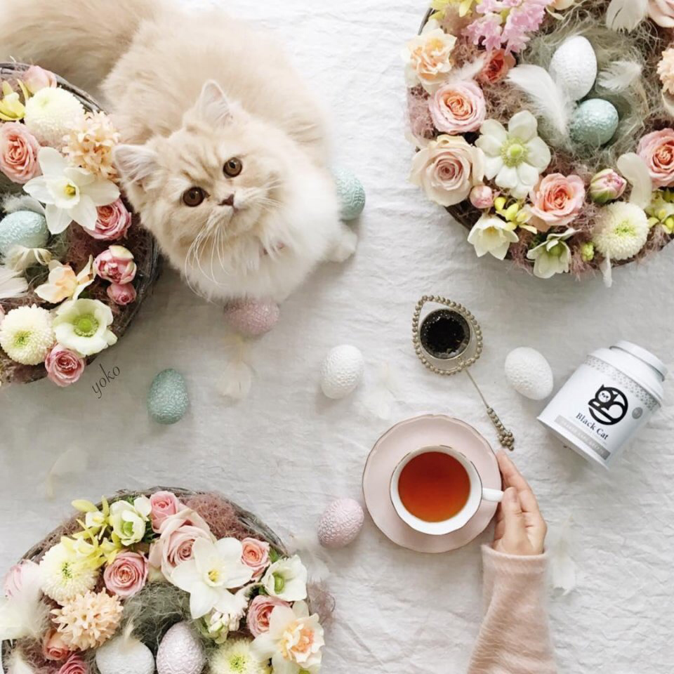 Весенние обои, фото 26 Весенние обои, фото 26