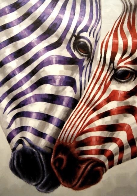 Обои в мире животных. Обои с зебрами, фото 1