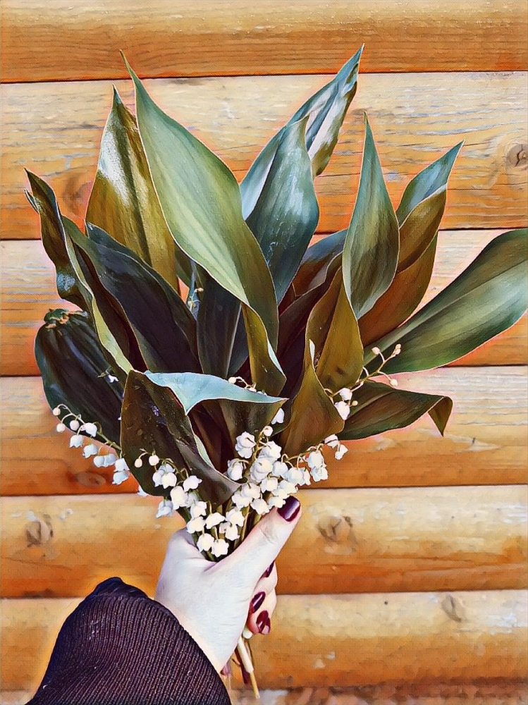 Обои с ландышами , фото 21 Обои с ландышами , фото 21