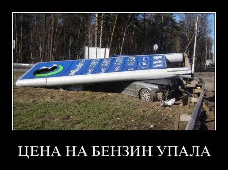 Свежая подборка демотиваторов., фото 13