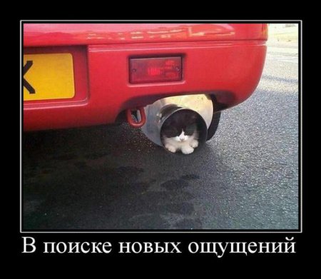 Свежая подборка демотиваторов., фото 15