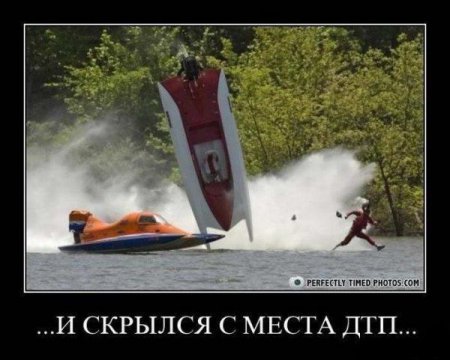 Свежая подборка демотиваторов., фото 18