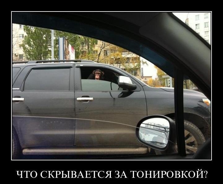 Свежая подборка демотиваторов., фото 25