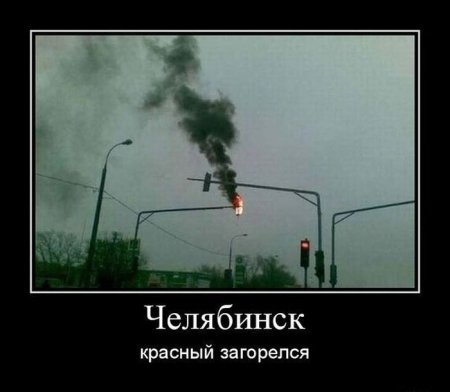 Свежая подборка демотиваторов., фото 1