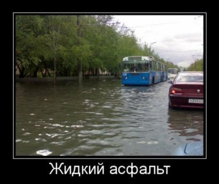 Свежая подборка демотиваторов., фото 5