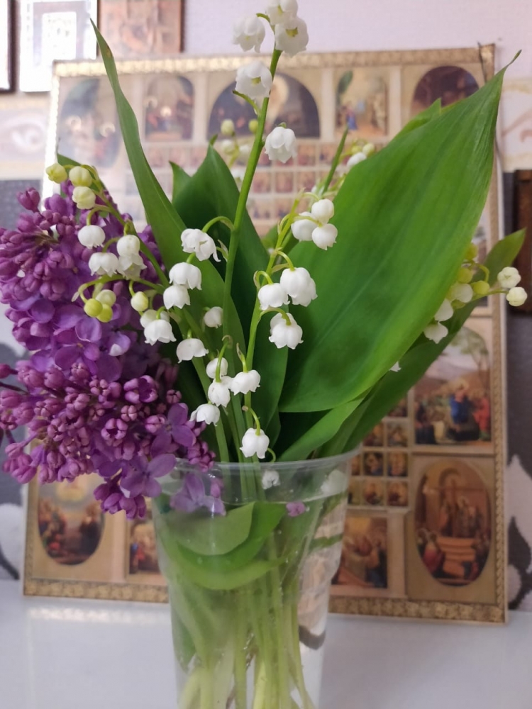 Обои с сиренью , фото 16