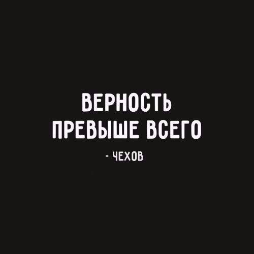 Шикарные цитаты