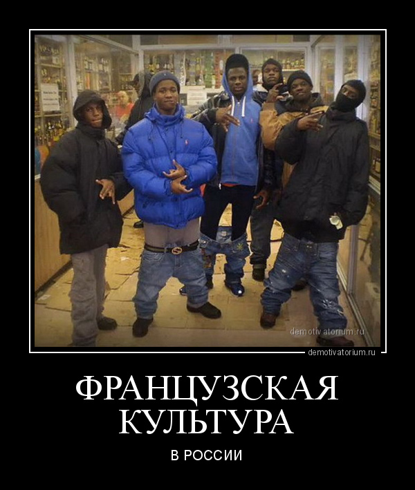 Демотиваторы о французов , фото 1 Демотиваторы о французов , фото 1