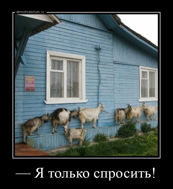 Демотиваторы про Козликофф, фото 15 Демотиваторы про Козликофф, фото 15