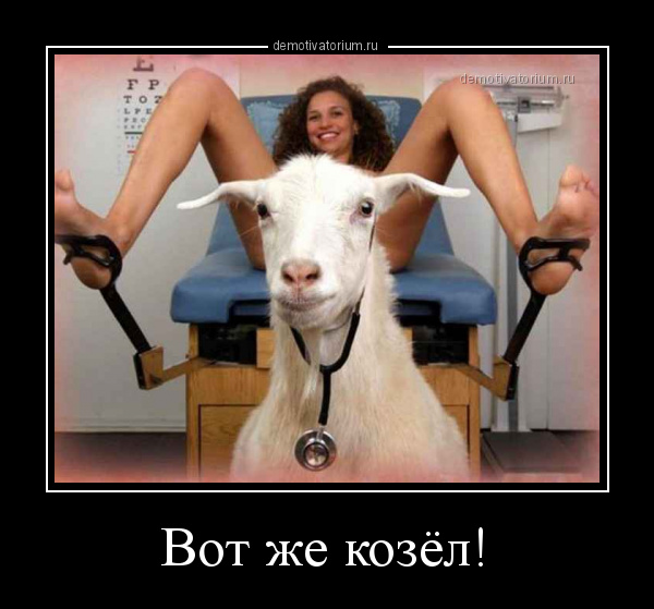Демотиваторы про Козликофф, фото 16 Демотиваторы про Козликофф, фото 16
