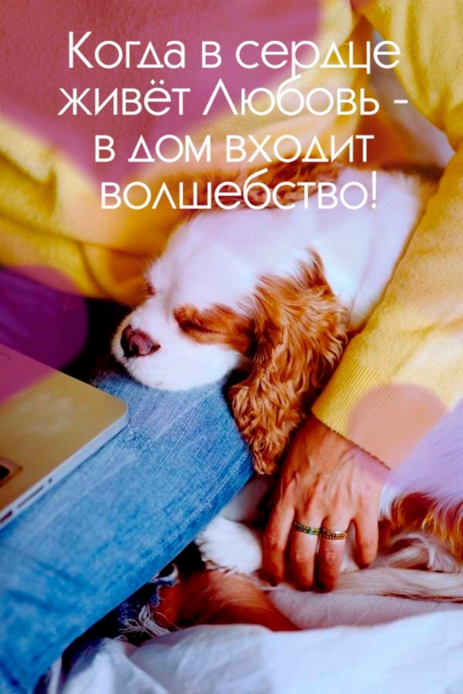 Открытки для мотивации тебя. 2 часть, фото 6 Открытки для мотивации тебя. 2 часть, фото 6