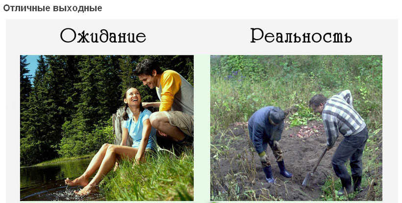 Результат оставляет желать лучшего, фото 17 Результат оставляет желать лучшего, фото 17