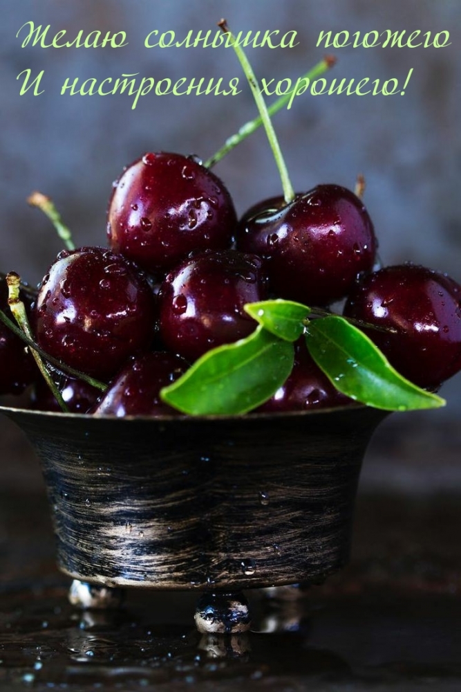 Открытки по теме хорошее настроение, фото 15 Открытки по теме хорошее настроение, фото 15