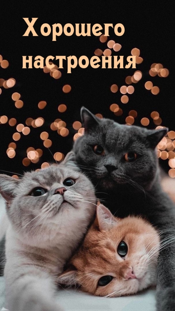 Открытки по теме хорошее настроение, фото 16 Открытки по теме хорошее настроение, фото 16