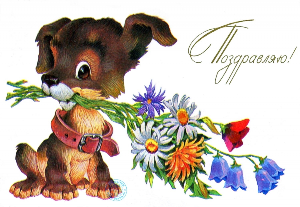 Праздничные открытки на разные темы, фото 11 Праздничные открытки на разные темы, фото 11