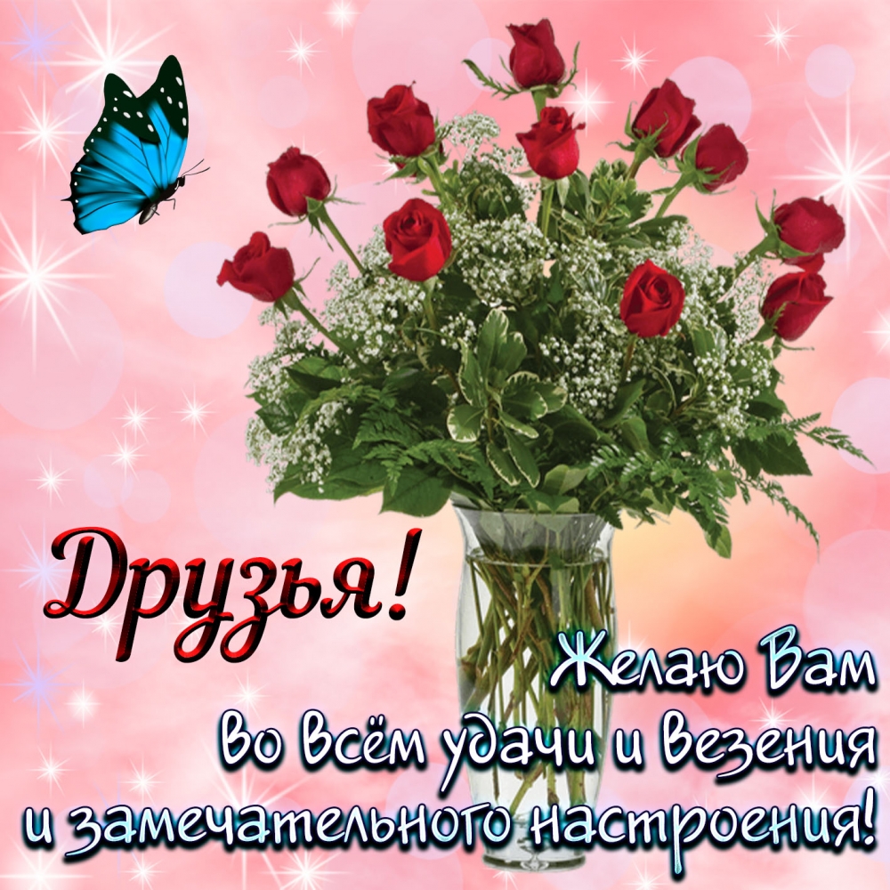 Моим друзьям, фото 10 Моим друзьям, фото 10