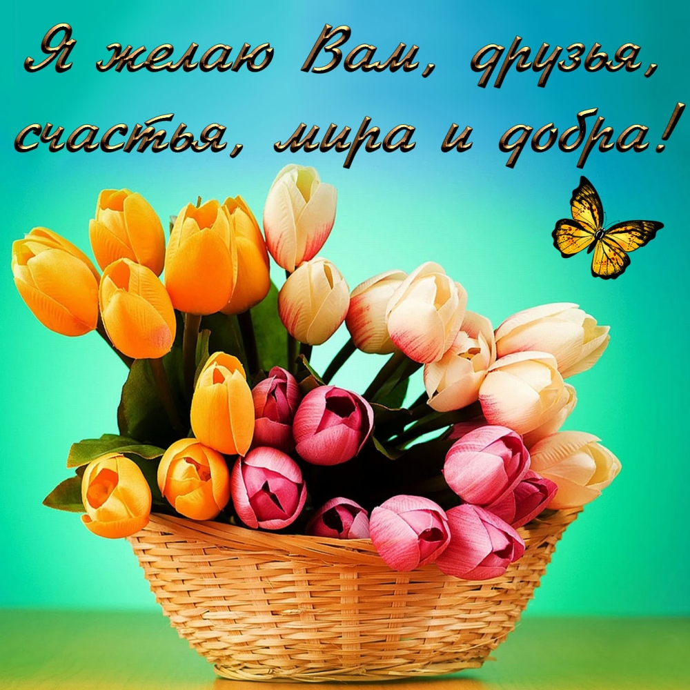 Моим друзьям, фото 9 Моим друзьям, фото 9